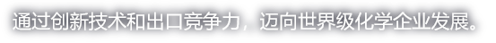 通过创新技术和出口竞争力，迈向世界级化学企业发展。