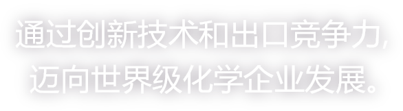 通过创新技术和出口竞争力,迈向世界级化学企业发展。